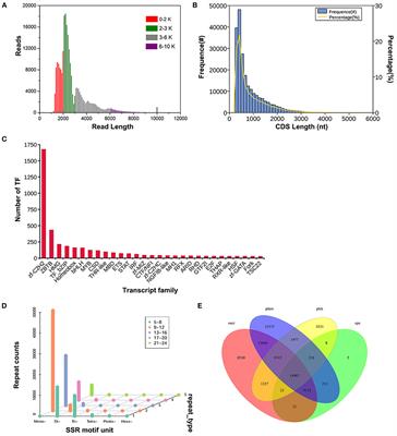 The combination of SMRT sequencing and Illumina sequencing highlights organ-specific and age-specific expression patterns of miRNAs in <mark class="highlighted">Sika Deer</mark>